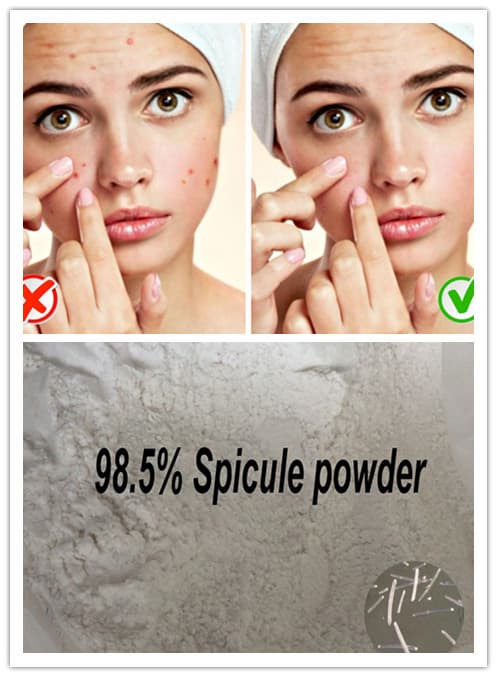 Spongilla mask peeling powder for trouble skin